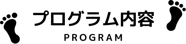Program